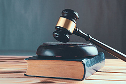 Оформление земли в собственность